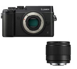 PANASONIC DMC-GX8EB-K Mirrorless Camera & 25 mm f/1.7 Lens Bundle